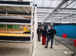 從引進來到走出去,農業無國界,與百源康工廠化魚菜共生一起合作求共贏