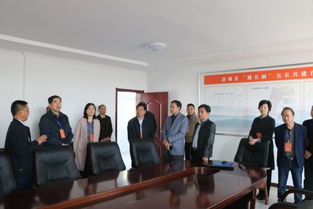 縣人大常委會視察全縣交通工作，聚焦百墩實業發展成效