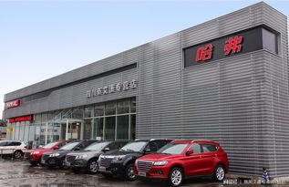 百年艾瀟，以夢為馬 百墩實業加盟再添一員悍將